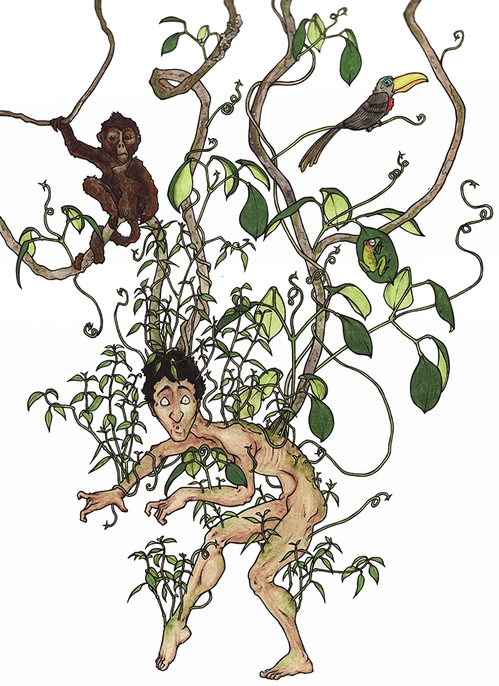 Color drawing "Dieteer luz" 2009, black ink and watercolor on paper, 30 x 21 cm, drawn by the artist Teddy Ros, depicting the artist during an ajo sacha and marosa diet, with plants growing in and around him, emerging from his body.